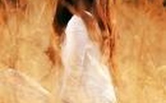 动漫女性禁处被爆桶漫画